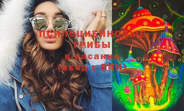 прущая мука Алзамай