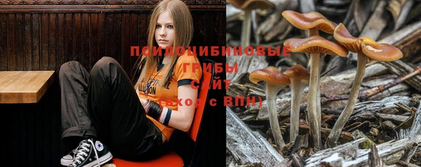 прущая мука Алзамай