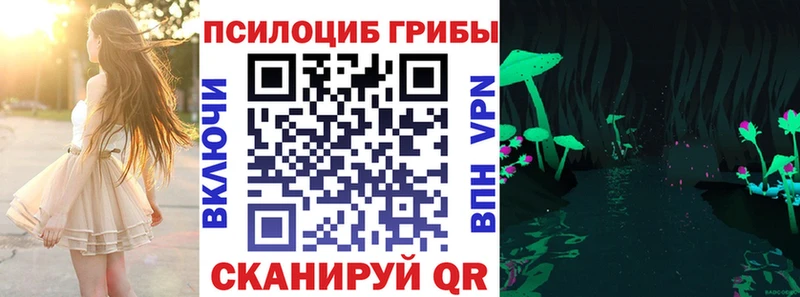 Псилоцибиновые грибы GOLDEN TEACHER  купить наркотик  Белгород 
