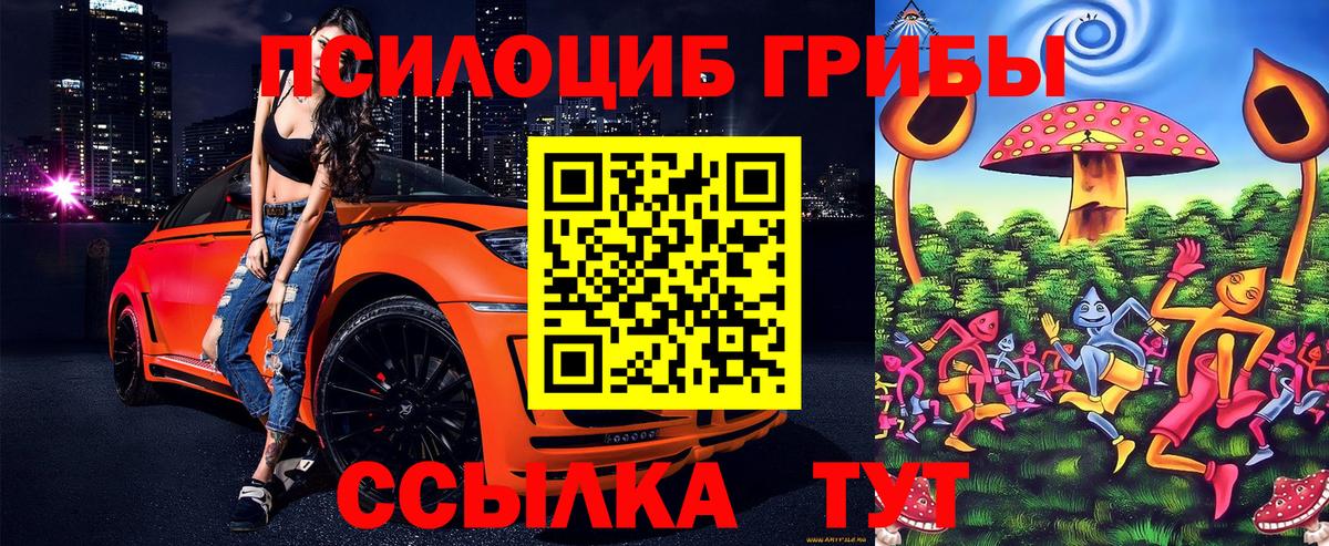 Псилоцибиновые грибы Cubensis  Галлюциногенные грибы ЛСД  Вход с VPN  Белгород 