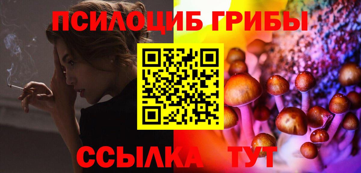 Псилоцибиновые грибы мухоморы Белгород